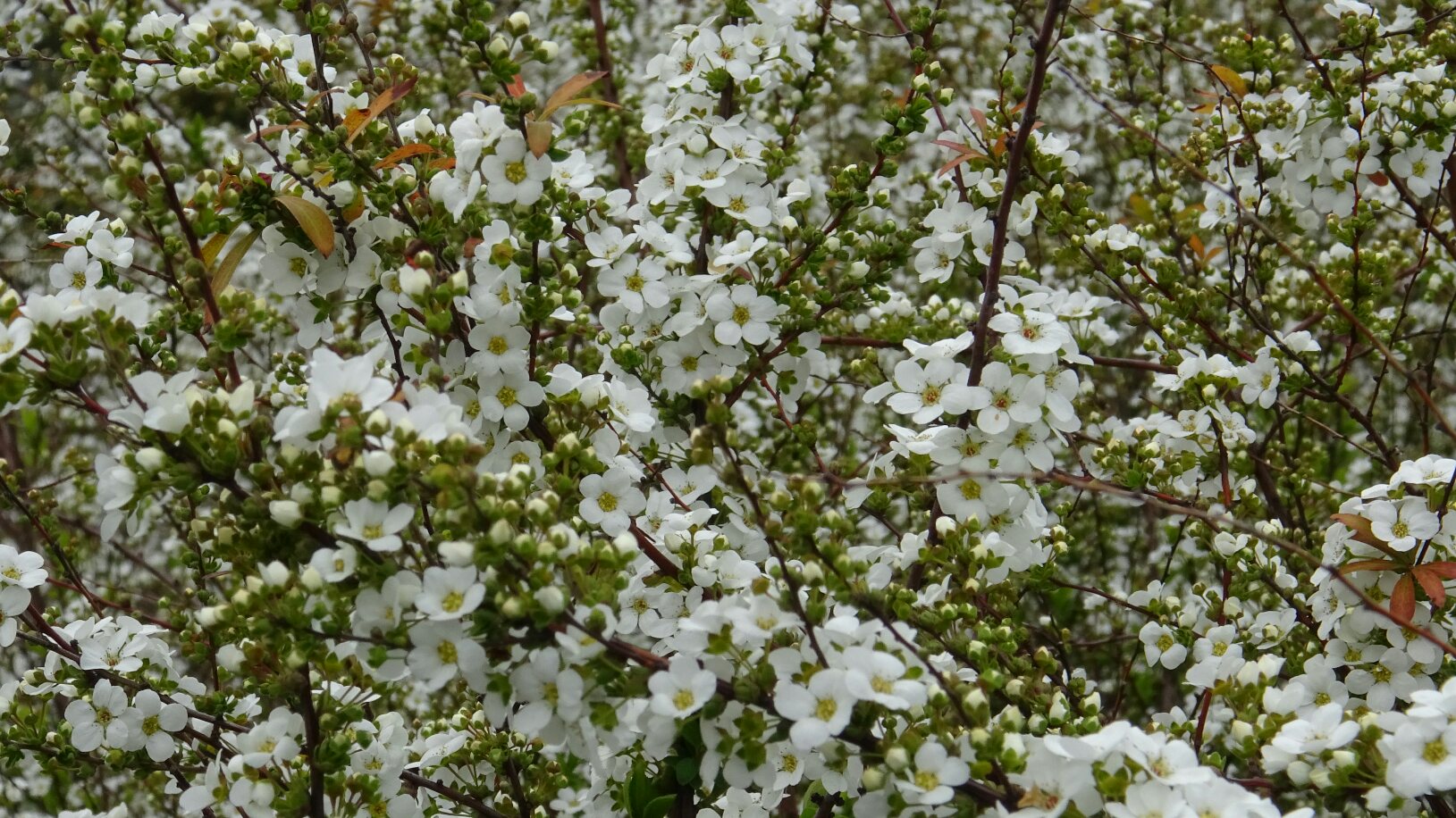 f0231709_20202963.jpg