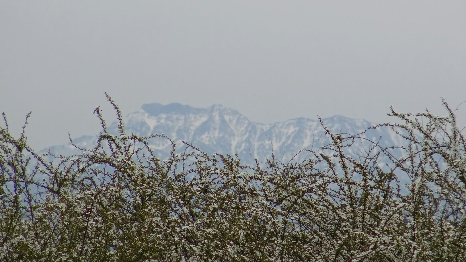 f0231709_20222119.jpg