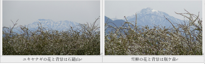 f0231709_20252549.png