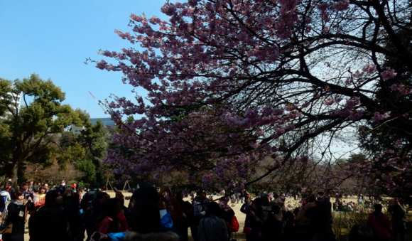 f0231709_22192355.png