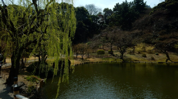 f0231709_22231021.png