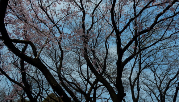 f0231709_23105623.png