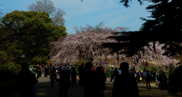 f0231709_23165041.png