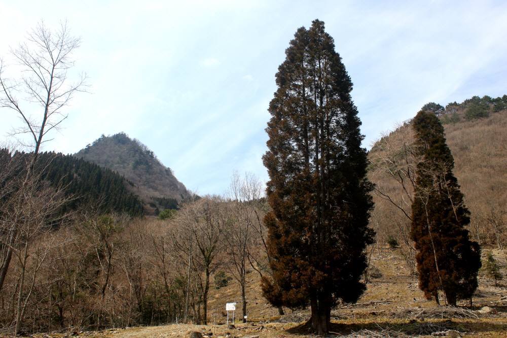 f0212511_15500411.jpg