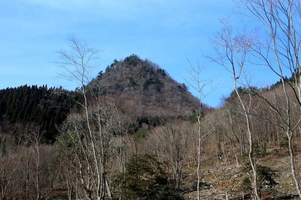 f0212511_15501996.jpg