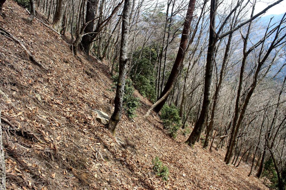 f0212511_15533476.jpg