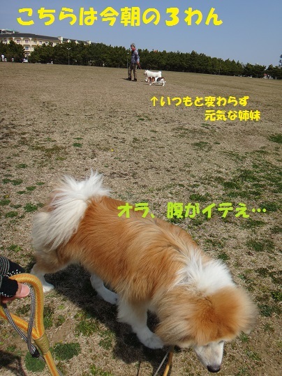 f0121712_01063649.jpg