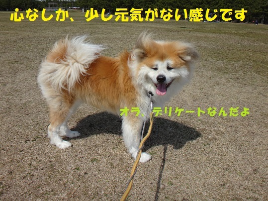 f0121712_01093157.jpg