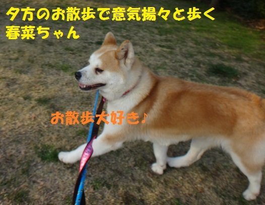f0121712_01282947.jpg