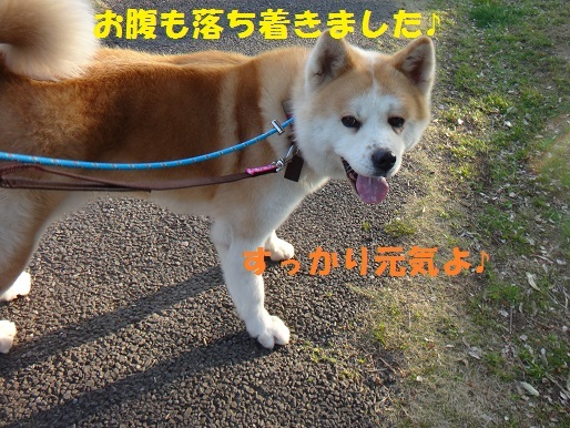f0121712_01323507.jpg