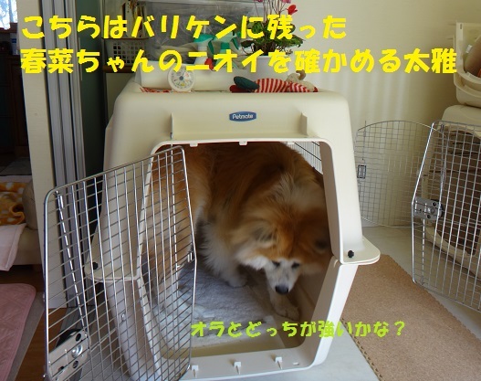 f0121712_01371493.jpg
