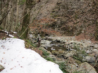d0083316_12125132.jpg