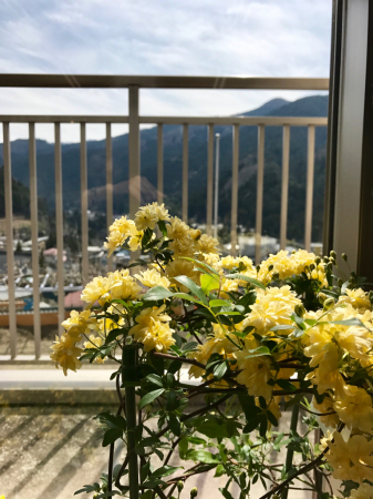 a0118918_00072570.jpg