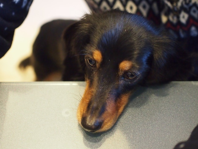 c0117831_17125442.jpg