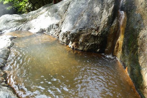 b0042334_10495928.jpg
