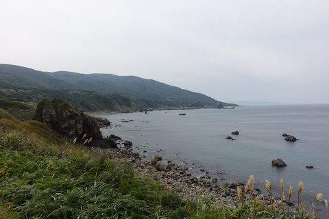 b0042334_10505297.jpg