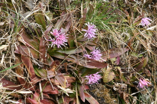 d0285540_08055233.jpg