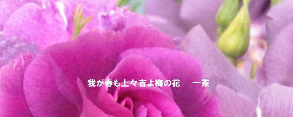 f0117041_14401684.jpg