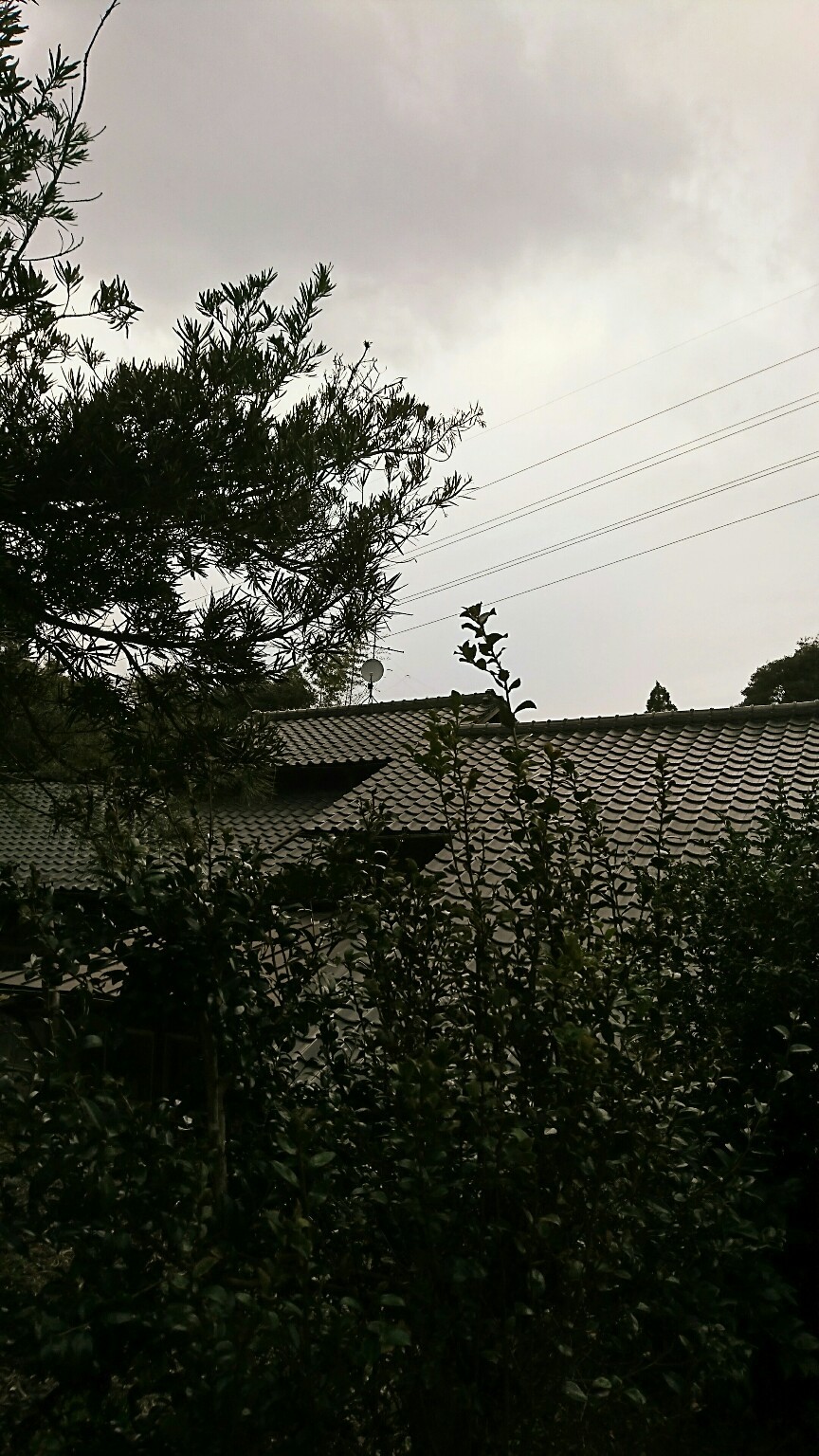 a0133142_18192827.jpg