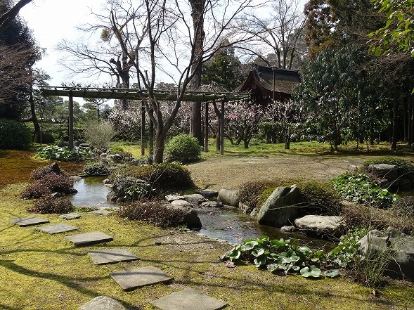 b0299042_23173288.jpg