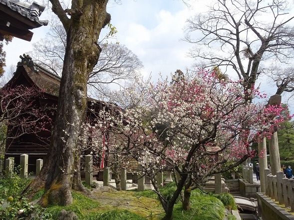 b0299042_23201230.jpg