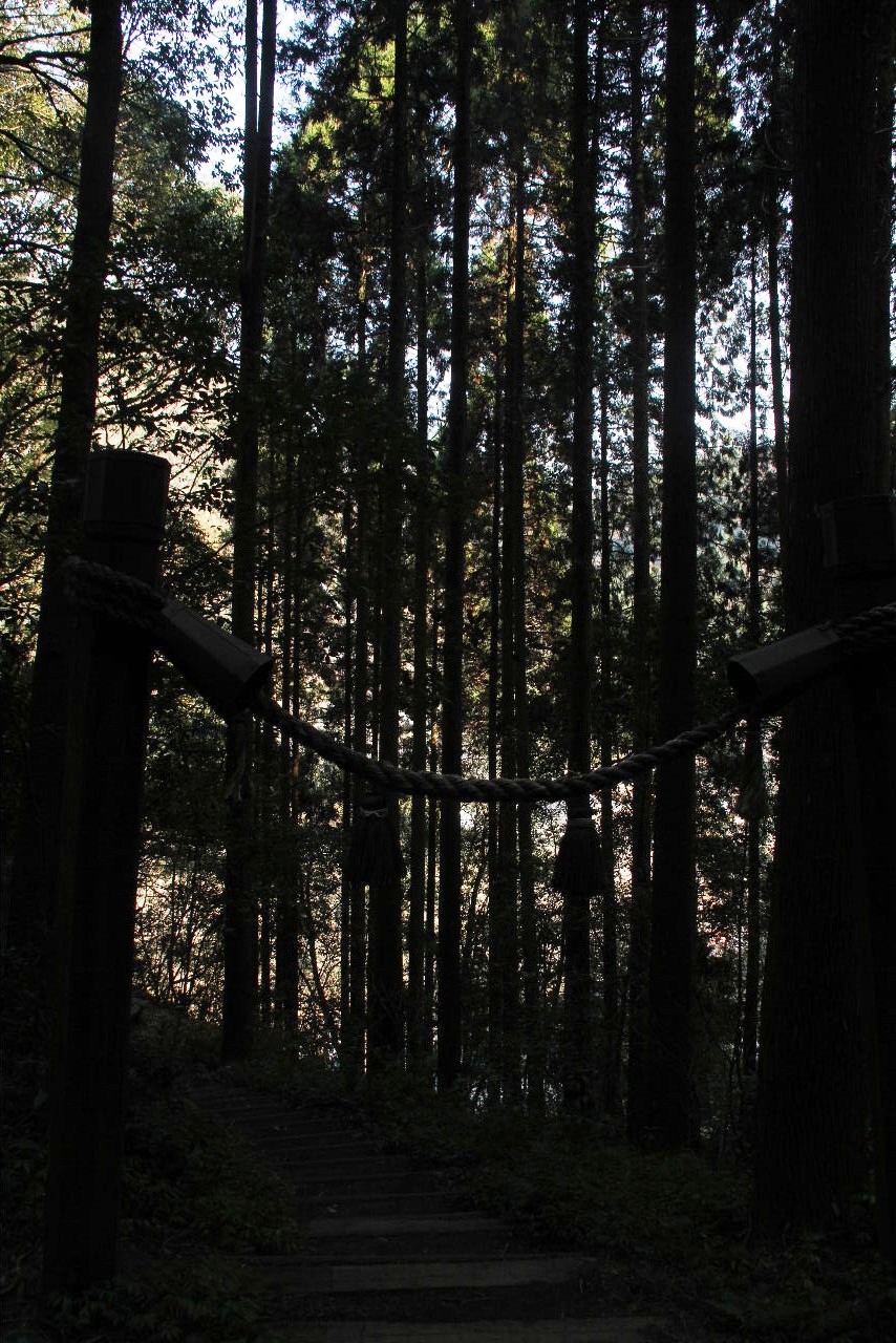c0011649_82023.jpg