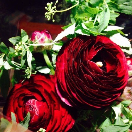 a0167750_14272567.jpeg