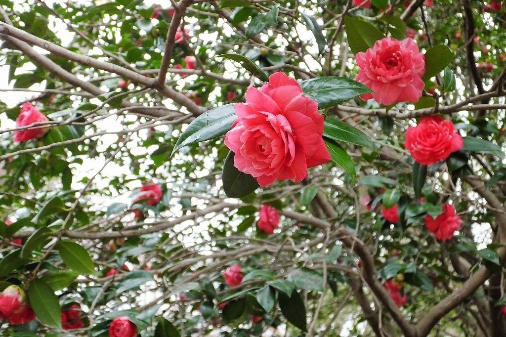b0236251_15280330.jpg