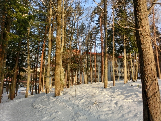 c0328559_16304007.jpg