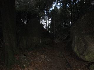 d0045362_09440135.jpg