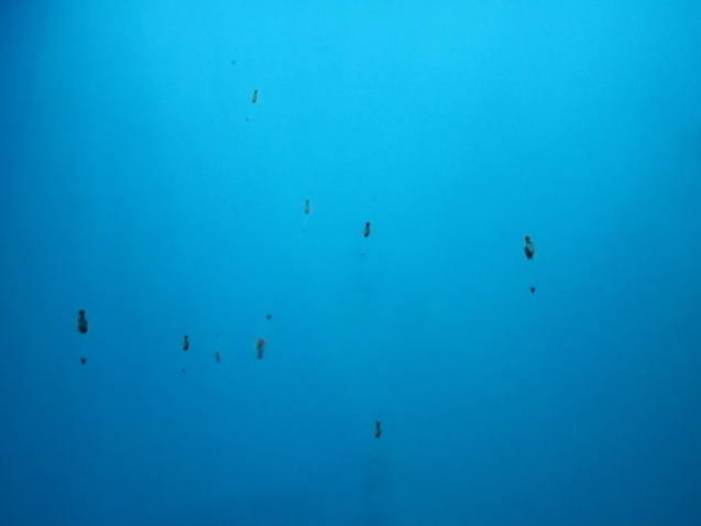 f0345263_12045504.jpg