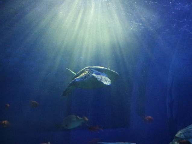 f0345263_12062181.jpg