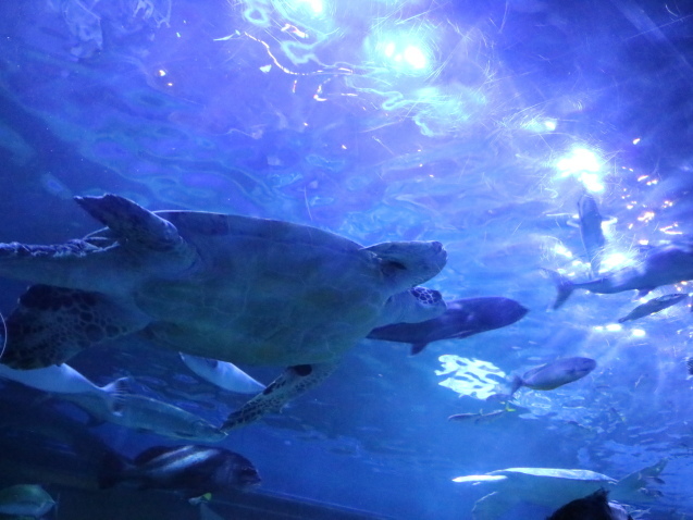 f0345263_12075759.jpg