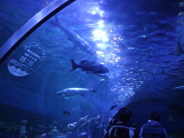 f0345263_12083130.jpg