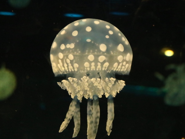 f0345263_12090216.jpg