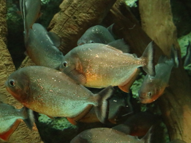 f0345263_12102720.jpg