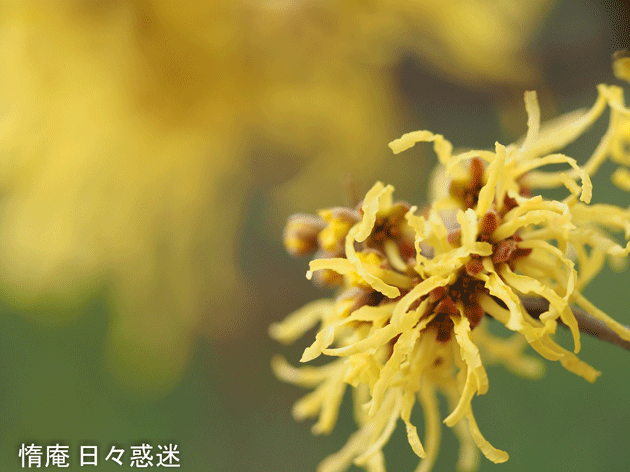 e0346064_19052705.gif