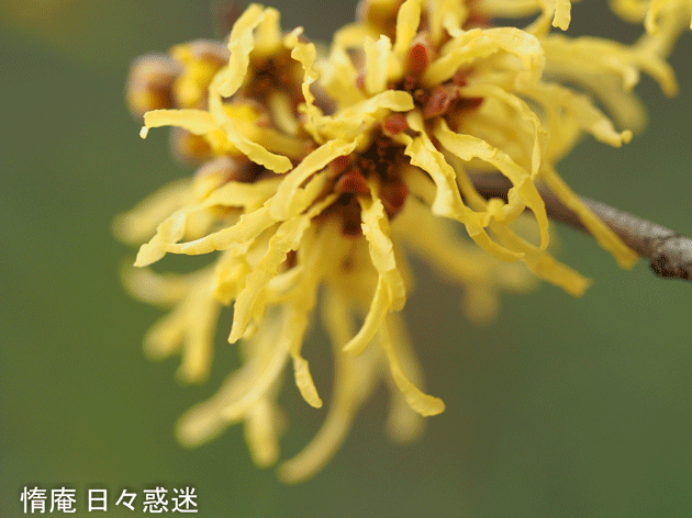 e0346064_19052924.gif