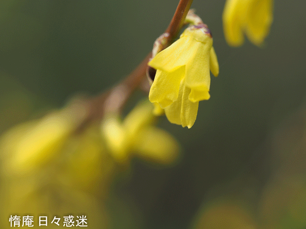 e0346064_19052976.gif