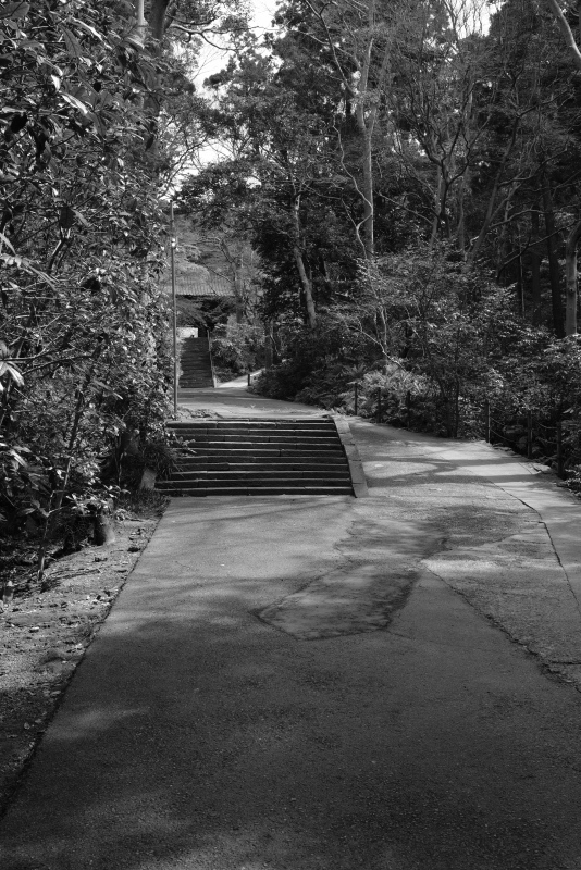 f0378464_18314540.jpg