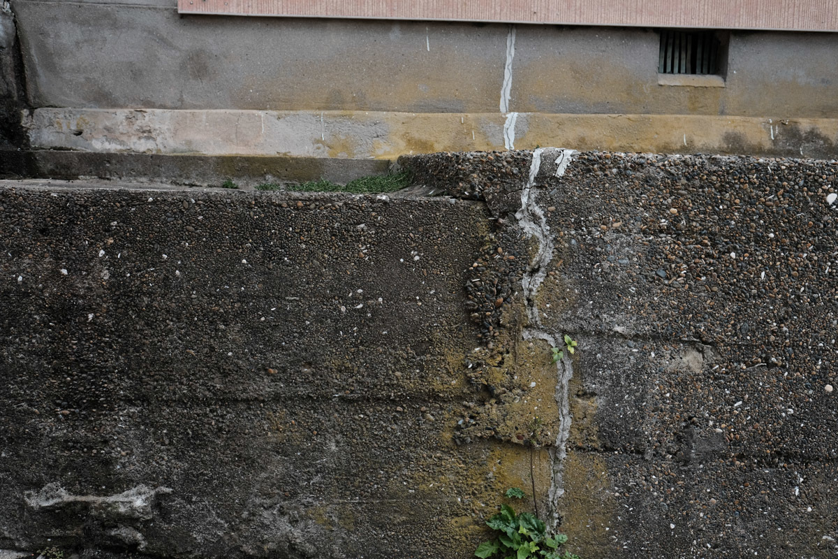 c0084666_11272163.jpg