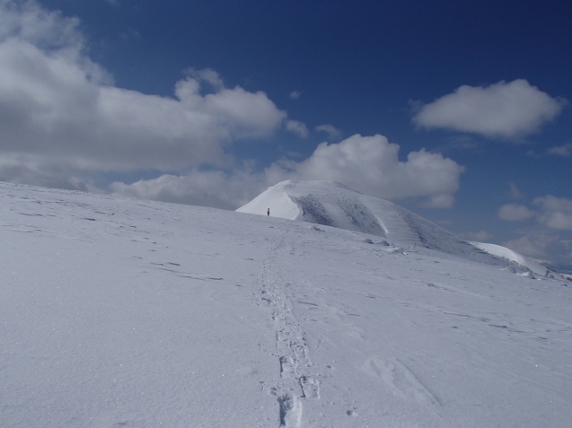 f0130376_16450947.jpg