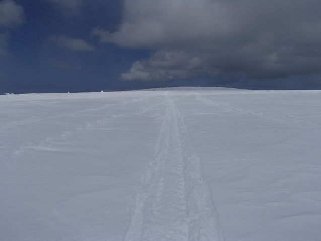 f0130376_16454009.jpg