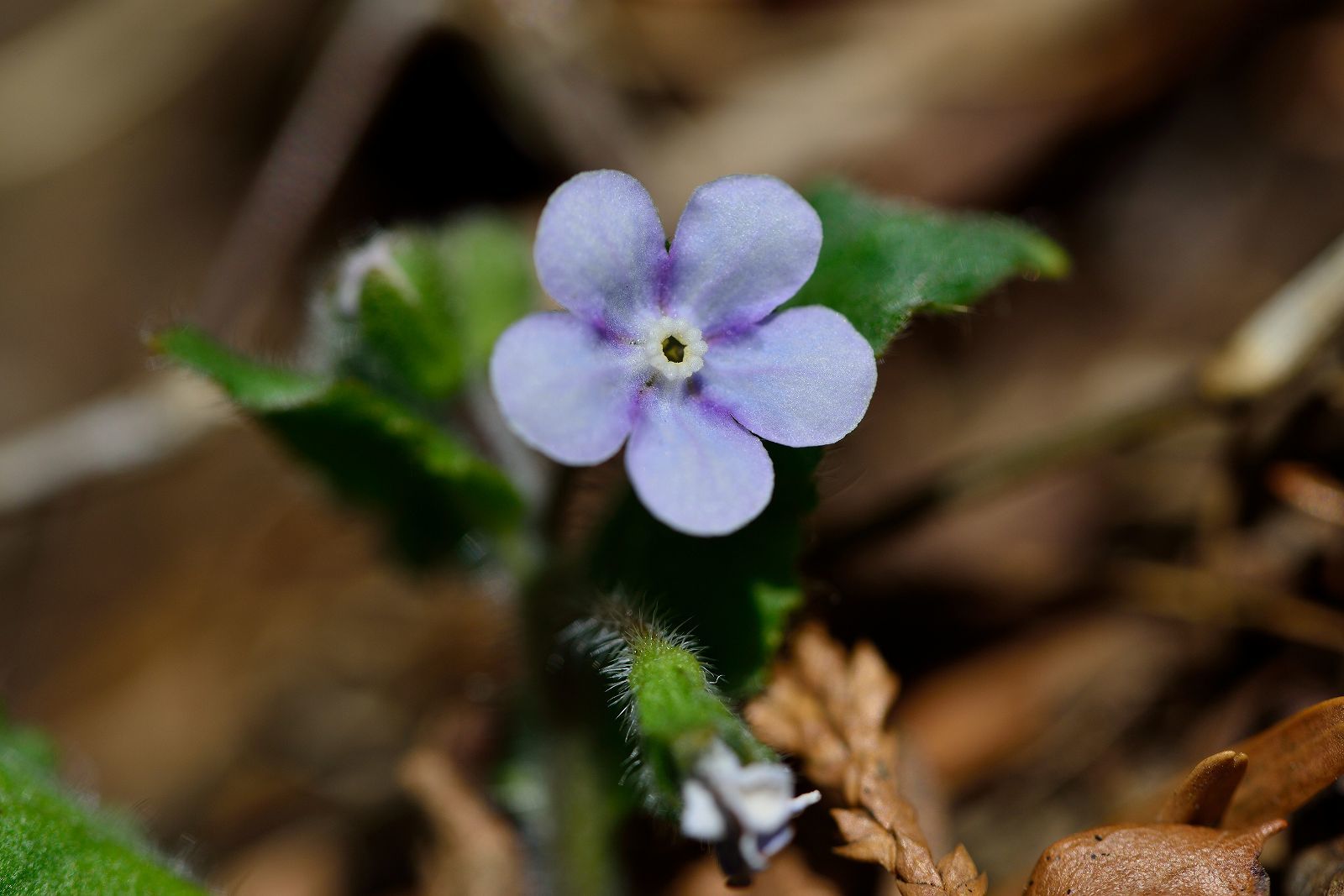 d0328977_20493450.jpg