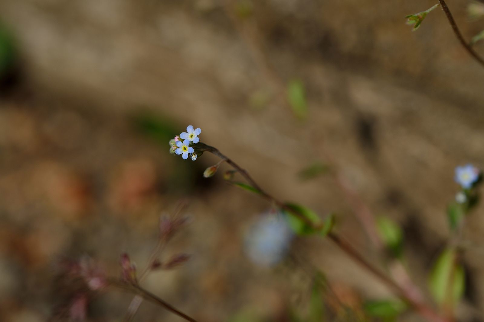 d0328977_20512396.jpg