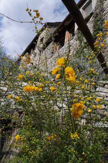 a0278382_16383135.jpg