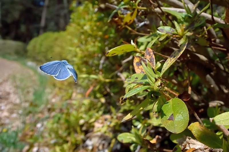 f0031682_17313245.jpg