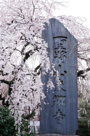 a0198883_12062107.jpg