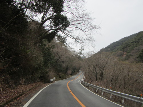 a0251786_20124216.jpg