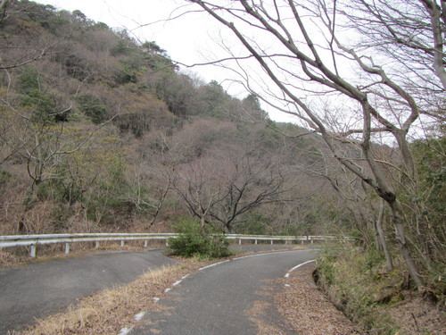 a0251786_2012821.jpg